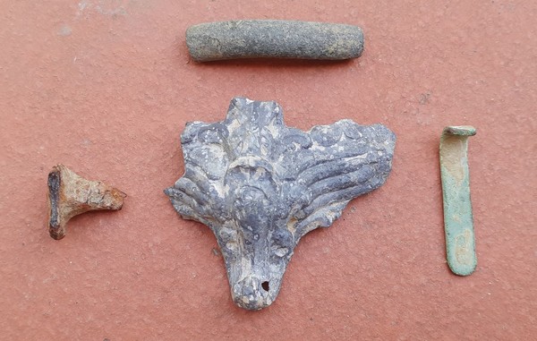 Sortie du 30 Juillet 2022